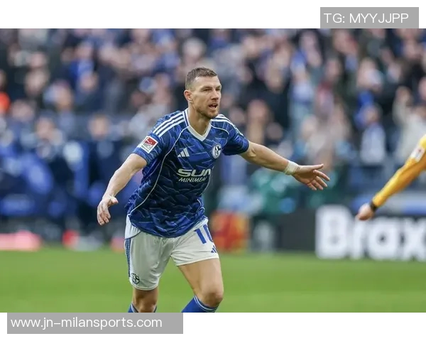 39岁哲科自荐加盟沙尔克希望助球队重返德甲舞台